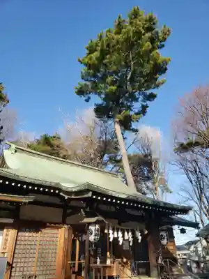 下高井戸八幡神社(東京都)