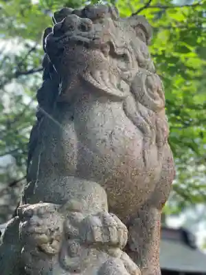 鶴峯八幡宮の狛犬