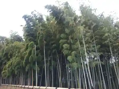 勝光院(東京都)