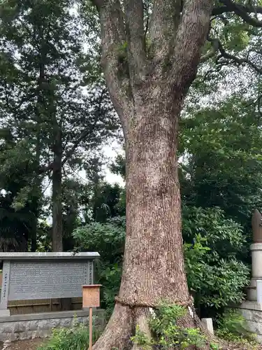 素盞嗚神社(兵庫県)