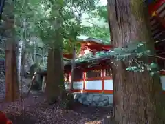 北畠神社の本殿