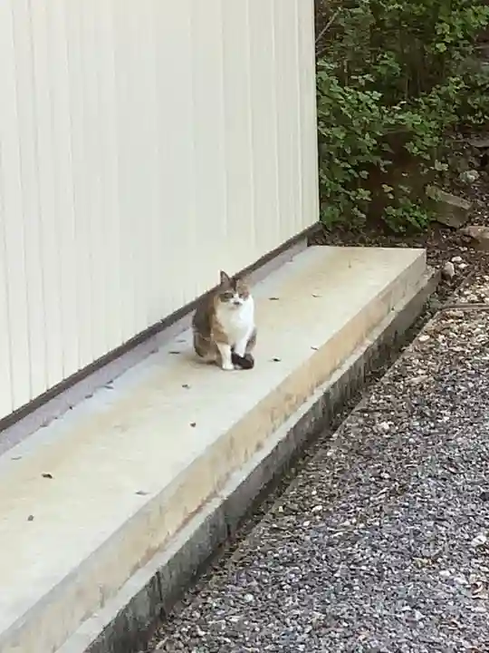 玉野御嶽神社の動物