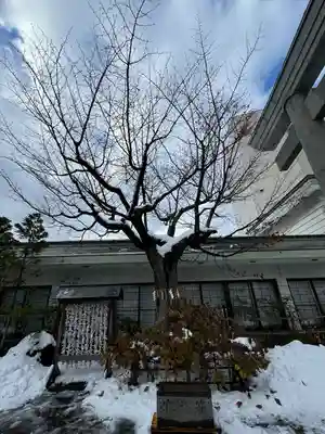 廣田神社～病厄除守護神～(青森県)
