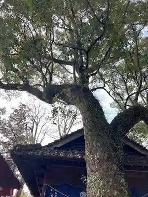 青井阿蘇神社(熊本県)