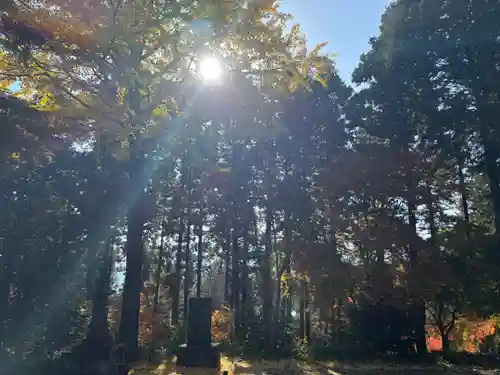 慈光寺(埼玉県)