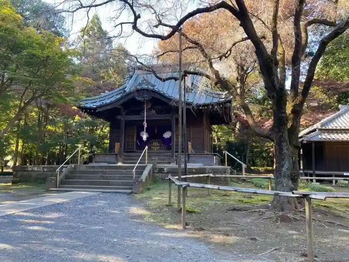 平林寺(埼玉県)