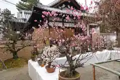 菅原天満宮（菅原神社）の自然