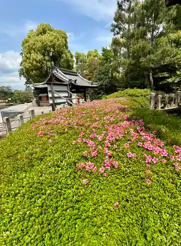 城南宮(京都府)