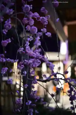 東京大神宮(東京都)