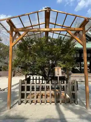 白峯神宮(京都府)