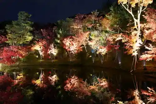 高台寺（高台寿聖禅寺・高臺寺）(京都府)