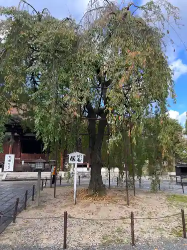 大報恩寺（千本釈迦堂）(京都府)