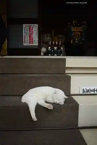 今戸神社(東京都)