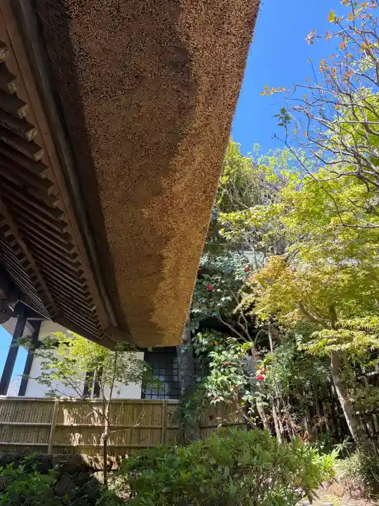 杉本寺の{uncategorized: "未分類", other: "その他", undefined: "問題あり", building: "その他建物", grave: "お墓", sacred_gate: "鳥居", guardian: "狛犬", statue: "像", buddha: "仏像", history: "歴史", nature: "自然", garden: "庭園", animal: "動物", pagoda: "塔", temizu: "手水舎", mountain_gate: "山門・神門", sanctuary: "本殿・本堂", subordinate: "末社・摂社", art: "芸術", scenery: "景色", jizo: "地蔵", ema: "絵馬", goshuin: "御朱印", omikuji: "おみくじ", items: "授与品その他", amulet: "お守り", goshuincho: "御朱印帳", eats: "食事", festival: "お祭り", votive_dance: "神楽", shichigosan: "七五三参", wedding: "結婚式", experience: "体験その他", initially: "初詣", around: "周辺", anti_infection: "感染症対策"}