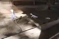 御嶽神社の本殿・本堂