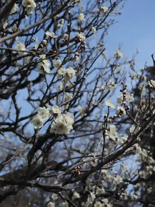 円覚寺の{uncategorized: "未分類", other: "その他", undefined: "問題あり", building: "その他建物", grave: "お墓", sacred_gate: "鳥居", guardian: "狛犬", statue: "像", buddha: "仏像", history: "歴史", nature: "自然", garden: "庭園", animal: "動物", pagoda: "塔", temizu: "手水舎", mountain_gate: "山門・神門", sanctuary: "本殿・本堂", subordinate: "末社・摂社", art: "芸術", scenery: "景色", jizo: "地蔵", ema: "絵馬", goshuin: "御朱印", omikuji: "おみくじ", items: "授与品その他", amulet: "お守り", goshuincho: "御朱印帳", eats: "食事", festival: "お祭り", votive_dance: "神楽", shichigosan: "七五三参", wedding: "結婚式", experience: "体験その他", initially: "初詣", around: "周辺", anti_infection: "感染症対策"}