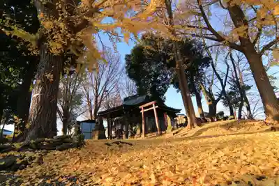 熊野福藏神社の本殿・本堂