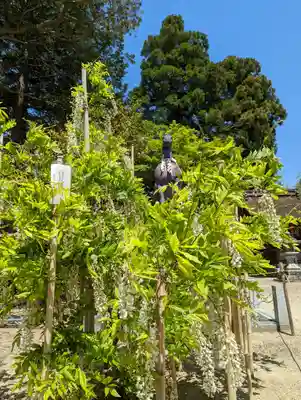 志那神社(滋賀県)