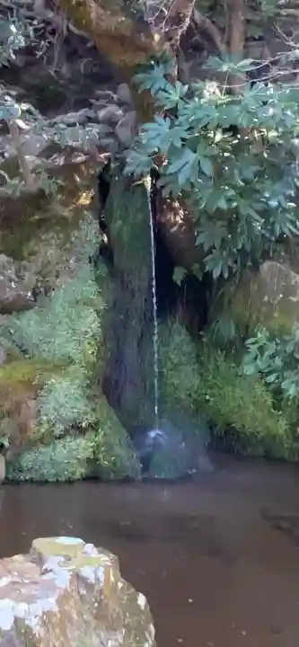 慈照寺(慈照禅寺・銀閣寺)の{uncategorized: "未分類", other: "その他", undefined: "問題あり", building: "その他建物", grave: "お墓", sacred_gate: "鳥居", guardian: "狛犬", statue: "像", buddha: "仏像", history: "歴史", nature: "自然", garden: "庭園", animal: "動物", pagoda: "塔", temizu: "手水舎", mountain_gate: "山門・神門", sanctuary: "本殿・本堂", subordinate: "末社・摂社", art: "芸術", scenery: "景色", jizo: "地蔵", ema: "絵馬", goshuin: "御朱印", omikuji: "おみくじ", items: "授与品その他", amulet: "お守り", goshuincho: "御朱印帳", eats: "食事", festival: "お祭り", votive_dance: "神楽", shichigosan: "七五三参", wedding: "結婚式", experience: "体験その他", initially: "初詣", around: "周辺", anti_infection: "感染症対策"}