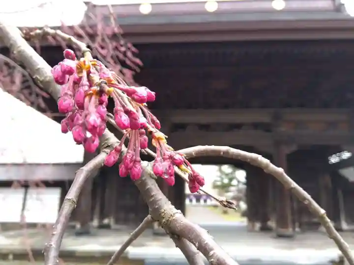 高田別院(新潟県)