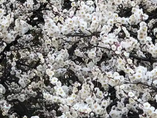 熱田神宮の自然