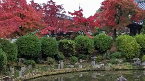 妙満寺(京都府)