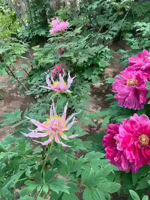 薬師院(兵庫県)