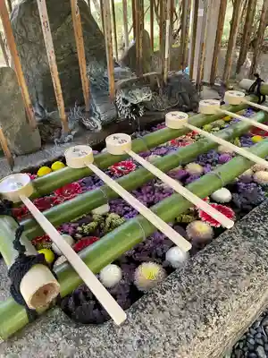 園城寺（三井寺）の手水舎