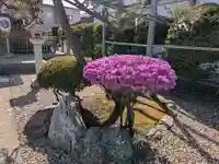 亀田龍神社(北海道)
