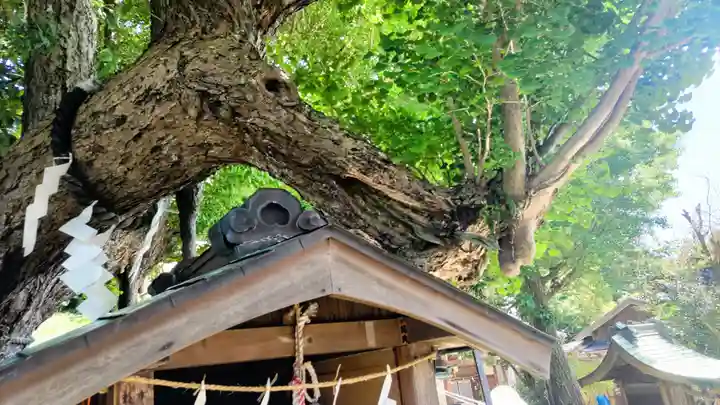 海南神社(神奈川県)