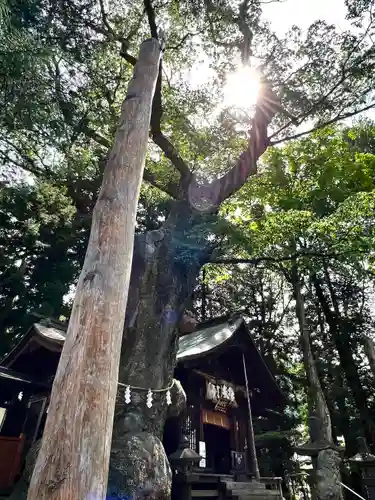 先宮神社(長野県)