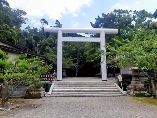 安房神社の鳥居