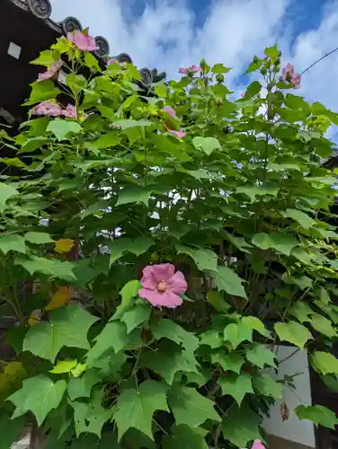 後白河院御聖蹟　法住寺(京都府)