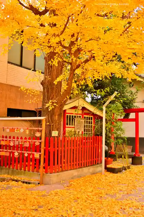 銀杏岡八幡神社(東京都)