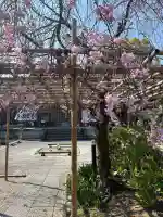 後白河院御聖蹟 法住寺の{uncategorized: "未分類", other: "その他", undefined: "問題あり", building: "その他建物", grave: "お墓", sacred_gate: "鳥居", guardian: "狛犬", statue: "像", buddha: "仏像", history: "歴史", nature: "自然", garden: "庭園", animal: "動物", pagoda: "塔", temizu: "手水舎", mountain_gate: "山門・神門", sanctuary: "本殿・本堂", subordinate: "末社・摂社", art: "芸術", scenery: "景色", jizo: "地蔵", ema: "絵馬", goshuin: "御朱印", omikuji: "おみくじ", items: "授与品その他", amulet: "お守り", goshuincho: "御朱印帳", eats: "食事", festival: "お祭り", votive_dance: "神楽", shichigosan: "七五三参", wedding: "結婚式", experience: "体験その他", initially: "初詣", around: "周辺", anti_infection: "感染症対策"}