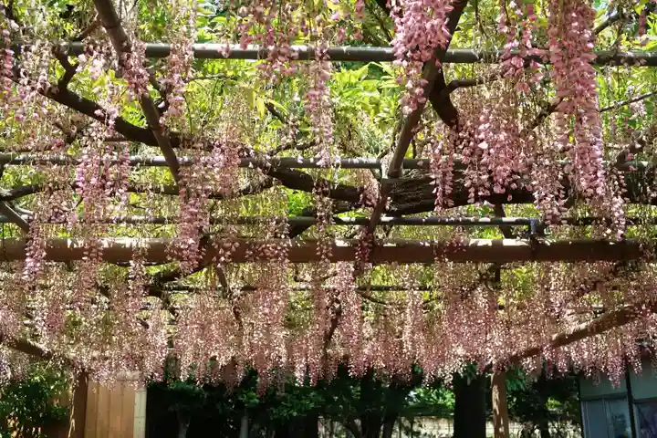 曼陀羅寺(愛知県)