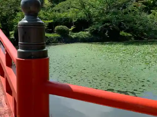 涼ケ岡八幡神社の景色