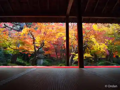 圓光寺(京都府)