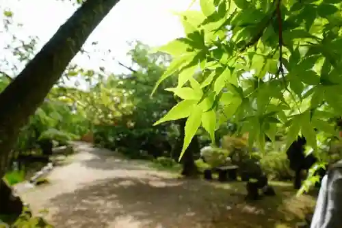 竹林院の庭園