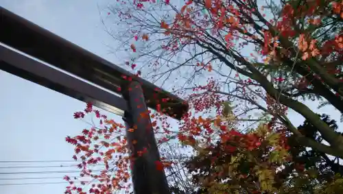 北広島市総鎮守　廣島神社の鳥居