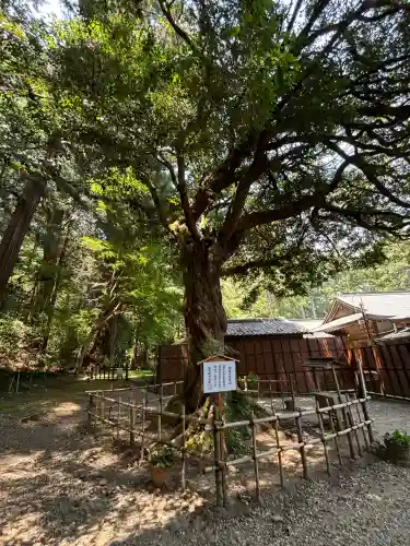 小國神社(静岡県)