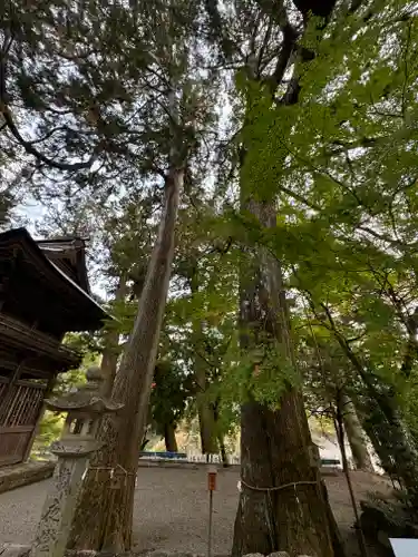 洲原神社(岐阜県)