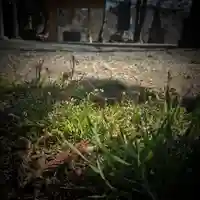 高司神社〜むすびの神の鎮まる社〜の自然