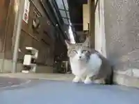 八坂神社(祇園さん)(京都府)