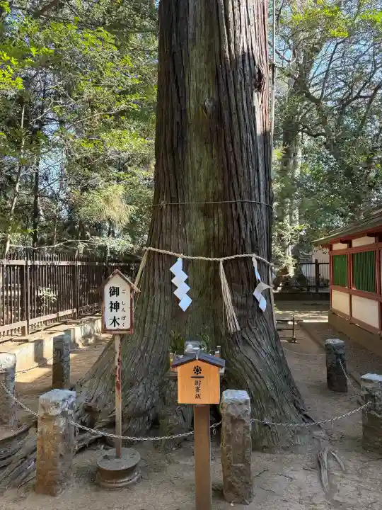 一言主神社の{uncategorized: "未分類", other: "その他", undefined: "問題あり", building: "その他建物", grave: "お墓", sacred_gate: "鳥居", guardian: "狛犬", statue: "像", buddha: "仏像", history: "歴史", nature: "自然", garden: "庭園", animal: "動物", pagoda: "塔", temizu: "手水舎", mountain_gate: "山門・神門", sanctuary: "本殿・本堂", subordinate: "末社・摂社", art: "芸術", scenery: "景色", jizo: "地蔵", ema: "絵馬", goshuin: "御朱印", omikuji: "おみくじ", items: "授与品その他", amulet: "お守り", goshuincho: "御朱印帳", eats: "食事", festival: "お祭り", votive_dance: "神楽", shichigosan: "七五三参", wedding: "結婚式", experience: "体験その他", initially: "初詣", around: "周辺", anti_infection: "感染症対策"}