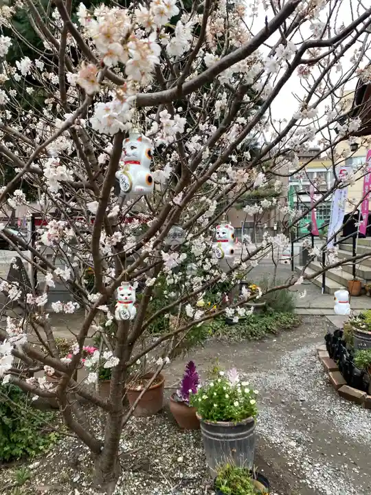 今戸神社の自然