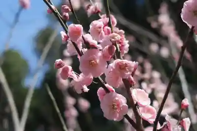 意賀美神社(大阪府)