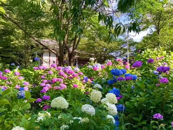 本土寺(千葉県)
