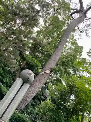 宮山神社(神奈川県)