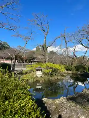 富士山本宮浅間大社(静岡県)